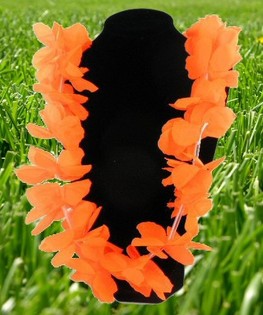 COLLIER HAWAIEN HOLLANDE FOOTBALL ORANGE (12 pcs.)