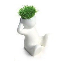 Petites T&ecirc;tes &agrave; Gazon (8 pcs)