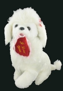 ADORABLE CANICHE AVEC C&OElig;UR