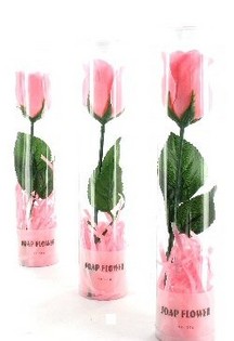 Fleurs de Savon (Set de 12)