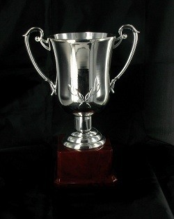 Coupe Argentée - Grande (23 cm)