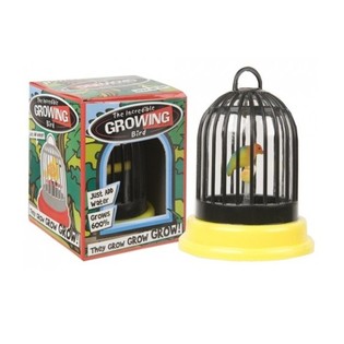 Oiseau Magique Grandissant en Cage (24 pcs)