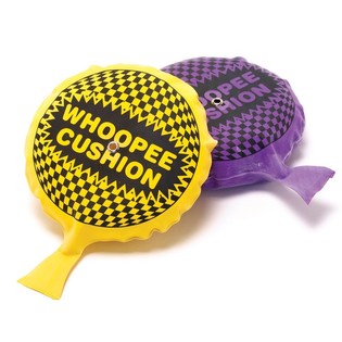 Gros Coussin P&eacute;teur 19 CM (12 pi&egrave;ces)