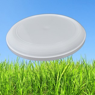 FRISBEE STANDARD 21 CM (Lot de 25)