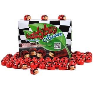 COCCINELLE À FRICTION EN PRÉSENTOIR (36 pcs)