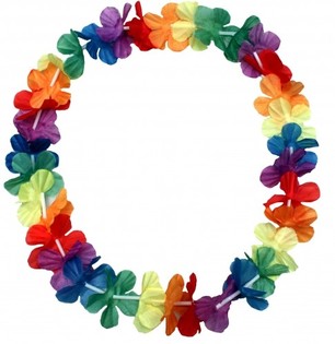 Colliers Hawa&iuml;ens (48 pcs.)