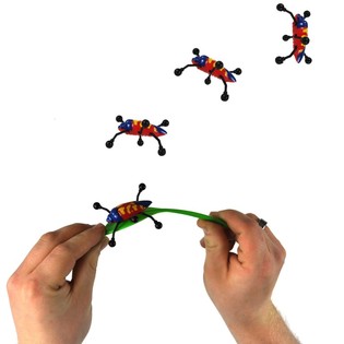 SMIFFY'S INSECTES TUMBLER / WALL WALKER (72 pcs)