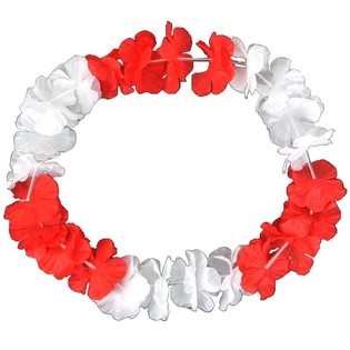 Colliers Hawa&iuml;ens Rouge/Blanc (50 pi&egrave;ces)