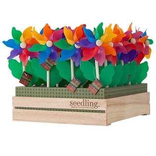 SEEDLING - MOULINS &Agrave; VENT EN PR&Eacute;SENTOIR (20 pcs)