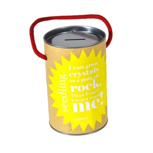 Seedling - Kit de culture pour cr&eacute;er ses propres cristaux