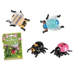 Insectes à Friction sur Carte (24 pcs)