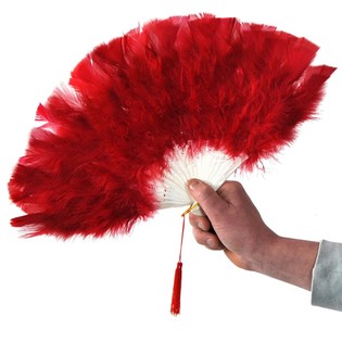 ÉVENTAIL EN PELUCHE (12 pièces)