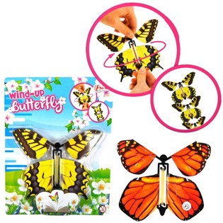 Papillon Voltigeant sur Carte (24 pcs)