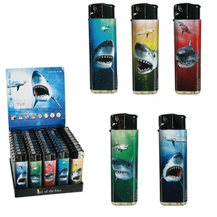 BRIQUETS ÉLECTRIQUES REQUINS EN PRÉSENTOIR - STOCK LIMITÉ (50 pcs)