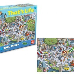 Puzzle That’s Life - Village, 1000 pièces (1 pce)