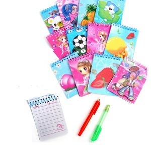 Mix de Carnets de Notes avec Stylo (48 pcs)