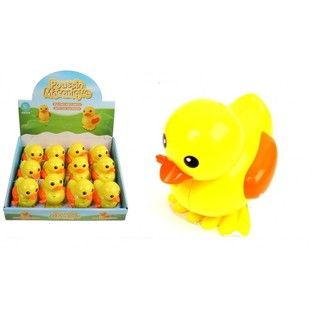 GRANDS CANARDS MÉCANIQUES À REMONTER EN PRÉSENTOIR (12 pcs)