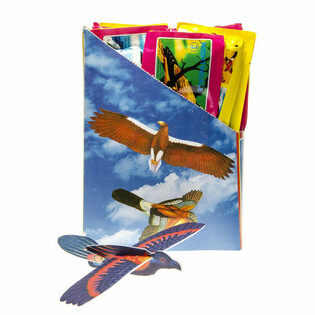 Avions d'oiseaux en mousse en pr&eacute;sentoir (48 pcs)