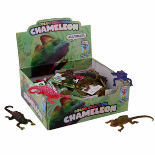 Pr&eacute;sentoir Cam&eacute;l&eacute;ons Changeant de Couleur (48 pcs)