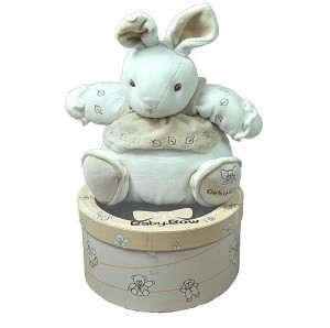 PELUCHE BABY BOW EN BO&Icirc;TE CADEAU - MOD&Egrave;LE 8